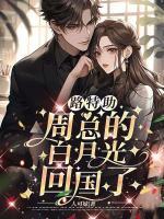 摊牌了周总的老婆就是我免费阅读