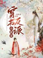 男主叫司白