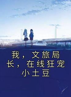 文旅局之前叫什么