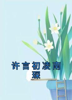 许珞傅言琛名字
