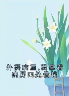 林稚顾北安免费阅读