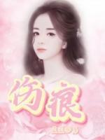 伤痕画质