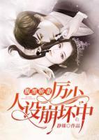 陆晚晚厉景琛