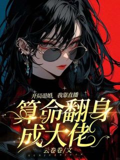 苏青桑霍靳尧阅读