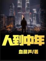 人到中年万事休
