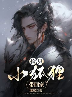 江月无言最新章节