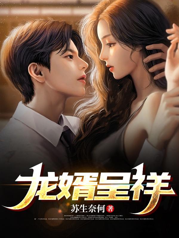 龙婿无弹窗