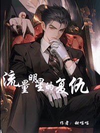 论流量明星