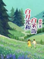 白月光和白米饭是什么意思