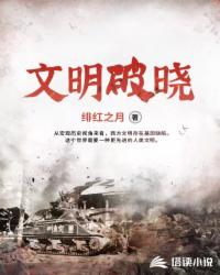 文明破晓TXT奇书网