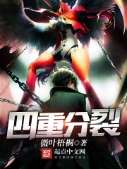 四重分裂免费阅读