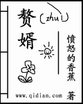 赘婿剧情介绍
