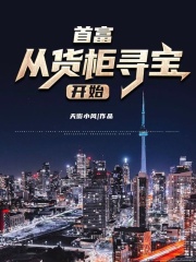 首富从货柜寻宝开始朱羽
