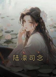 男主叫陆凛女主叫司念