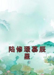 陆景修慕颜txt