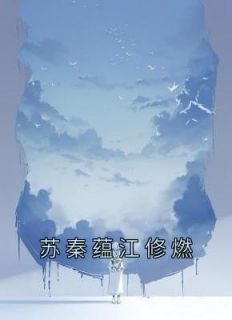 秦修苏菀青