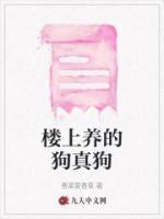 楼上养大狗特闹腾