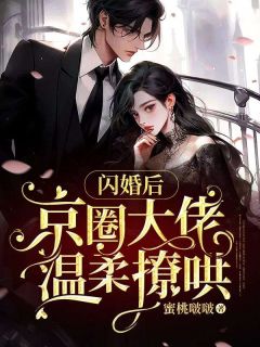 闪婚大佬甜蜜宠免费全文阅读