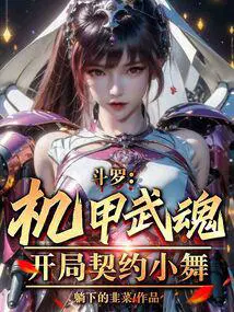 开局契约小舞qq