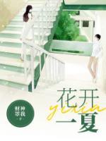 苏然陆司年