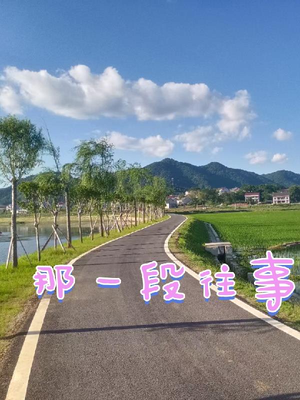 那一段往事的追忆全文