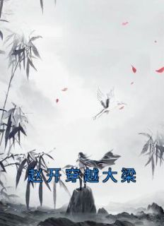 赵开穿越大梁七皇子2240