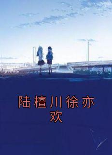 陆亦琛徐漫沈瑜 免费阅读