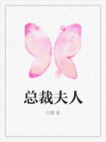 将17总裁夫人