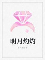 明月灼灼免费阅读