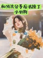 和顶流结婚后我失忆了