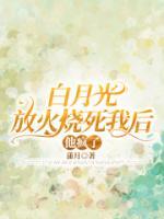 白月光他火葬场了怀