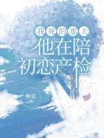 周富元雅安