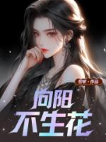 向阳不生花TXT奇书网