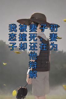 妻子初恋的日记