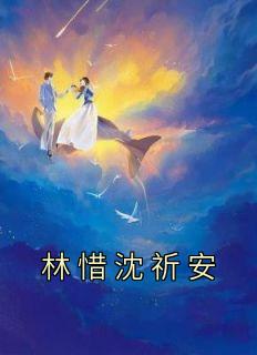 林惜沈祈安结局