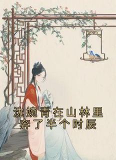 沈婉青陆忱免费最新章节更新
