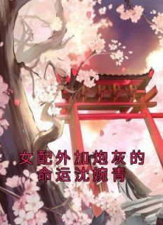 沈婉青陆忱免费阅读