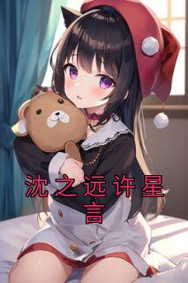 沈致许星落