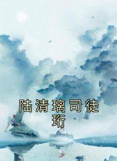 陆清璃司徒珩齐越白后续