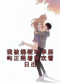 江镜月季辰屿是