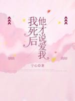 他才说爱我陆放