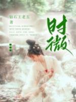 沈观宋时微