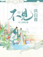 姜娴秦淮全文免费阅读