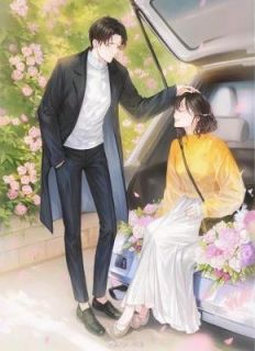 薄暮年慕星辰