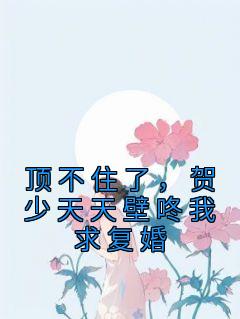 贺贺少的闪婚暖妻原著