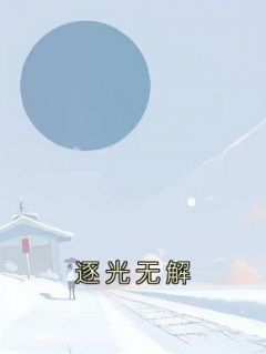 逐光 游戏