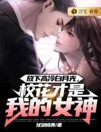 苏辰沈雪陆媱
