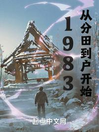 1983从分田到户开始OTC