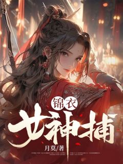 锦衣女神捕TXT