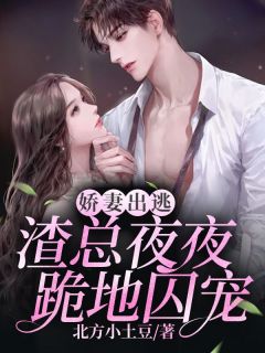 洛颜裴御曜